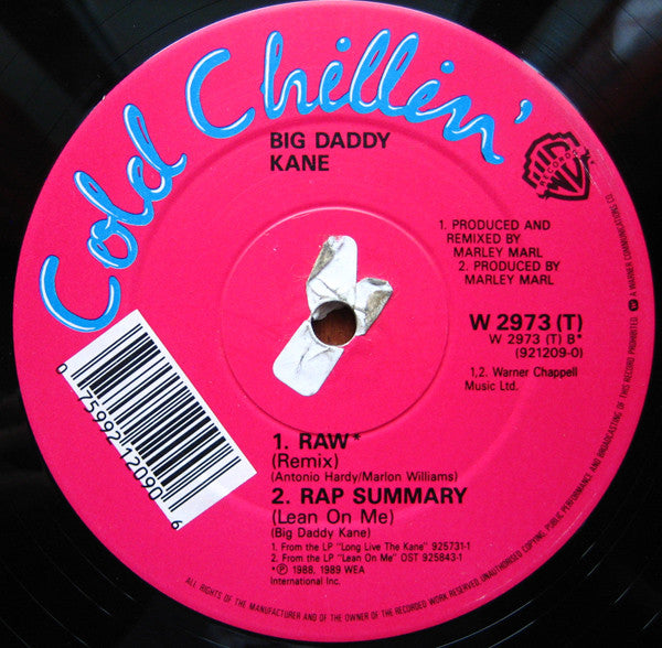 Big Daddy Kane : Wrath Of Kane (12")