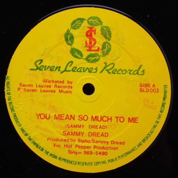 Sammy Dread : You Mean So Much To Me / Wrap Up A Draw (12")