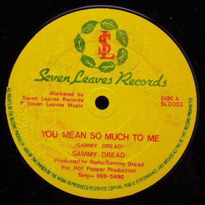 Sammy Dread : You Mean So Much To Me / Wrap Up A Draw (12")