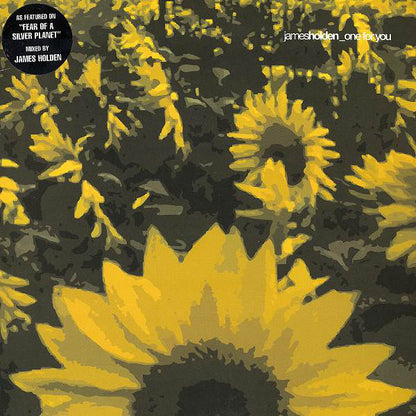 James Holden : One For You (12")