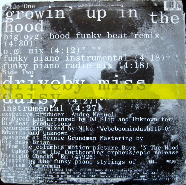 Comptons Most Wanted* : Growin' Up In The Hood (12")