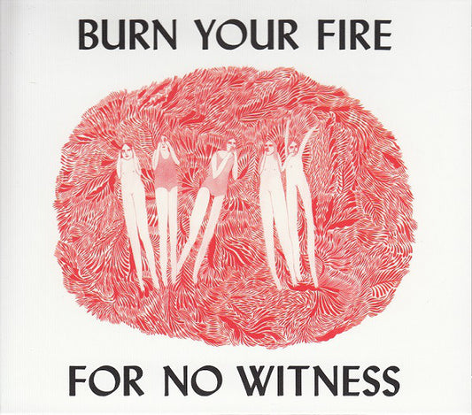Angel Olsen : Burn Your Fire For No Witness (CD, Album)