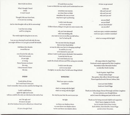 Angel Olsen : Burn Your Fire For No Witness (CD, Album)