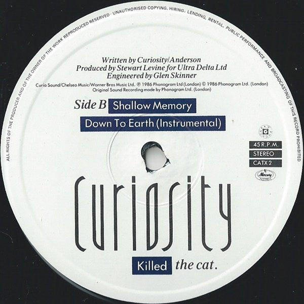 Curiosity Killed The Cat : Down To Earth (Extended Mix) (12", Single)