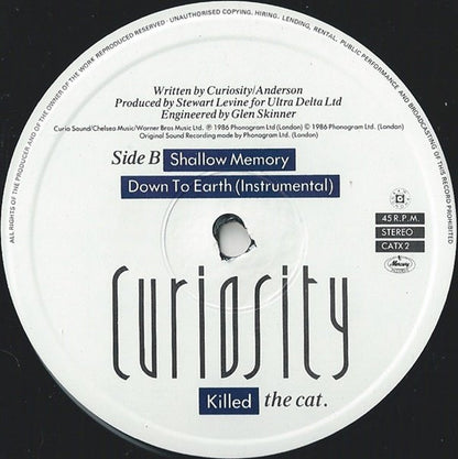 Curiosity Killed The Cat : Down To Earth (Extended Mix) (12", Single)