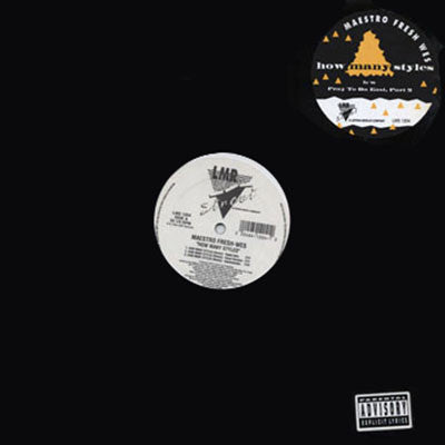 Maestro Fresh-Wes : How Many Styles (12")