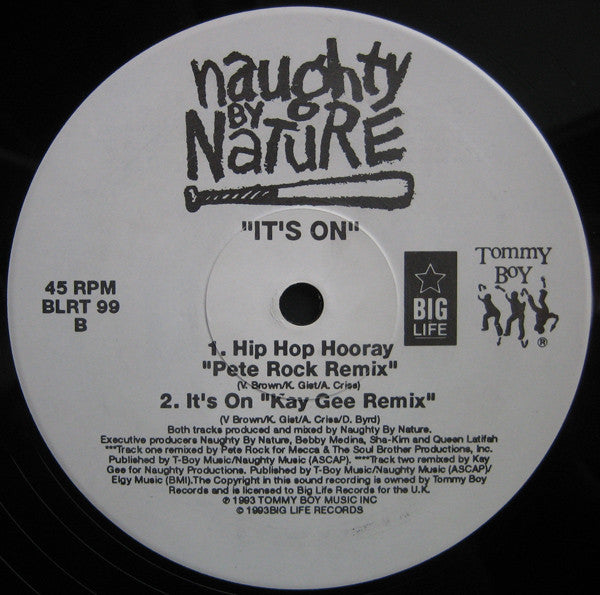 Naughty By Nature : It's On (12")