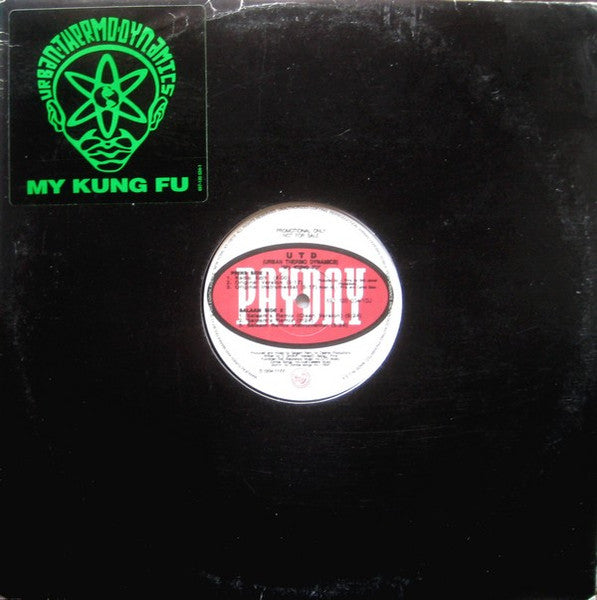 Urban Thermo Dynamics : My Kung Fu (12", Promo)
