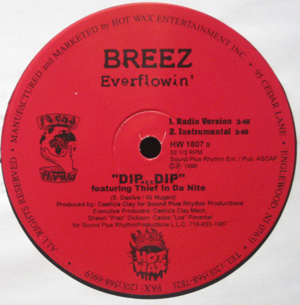 Breez Everflowin'* : Forsaken (12")