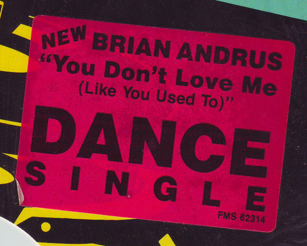 Brian Andrus : You Don't Love Me (Like You Used To) (12")