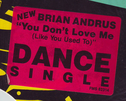 Brian Andrus : You Don't Love Me (Like You Used To) (12")