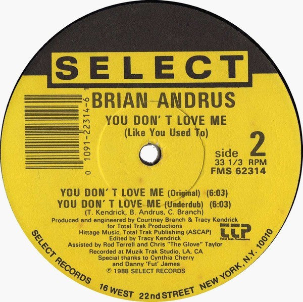 Brian Andrus : You Don't Love Me (Like You Used To) (12")