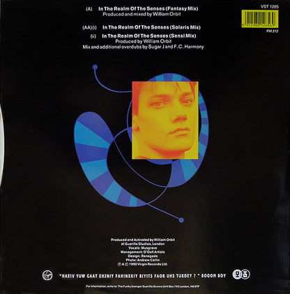 Bassomatic : In The Realm Of The Senses (12", Single)