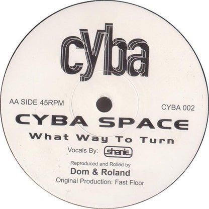 Cyba Space : Search For Me / What Way To Turn (12")
