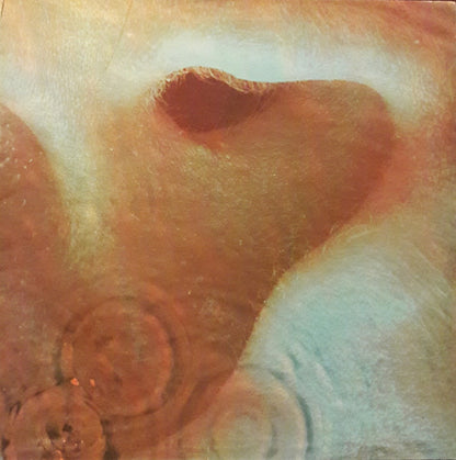 Pink Floyd : Meddle (LP, Album, The)