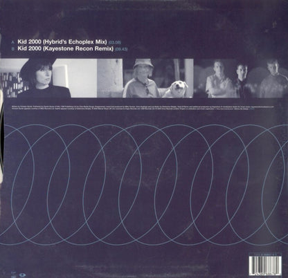 Hybrid Featuring Chrissie Hynde : Kid 2000 (12")