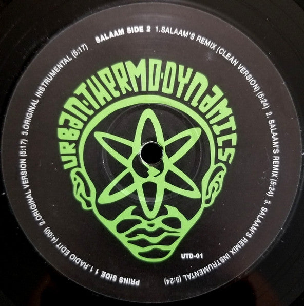 Urban Thermo Dynamics : My Kung Fu (12", Unofficial)