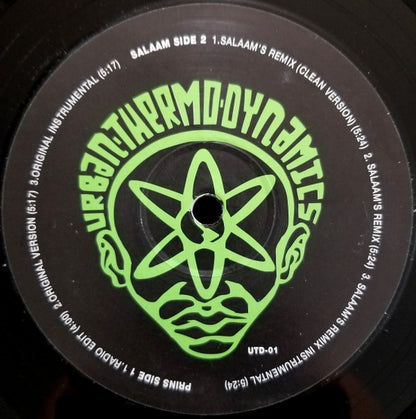 Urban Thermo Dynamics : My Kung Fu (12", Unofficial)