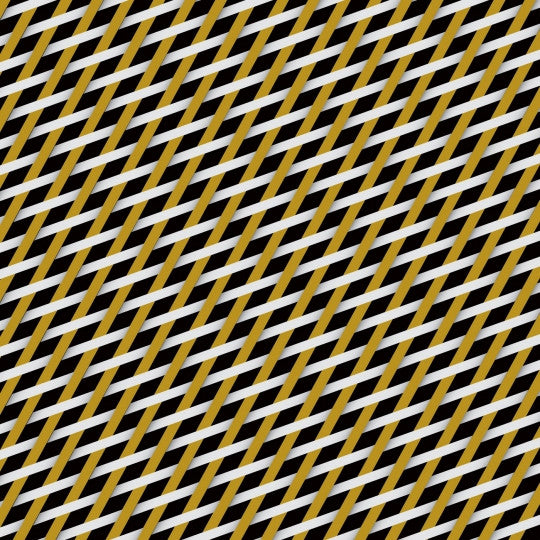 Audion : Mouth To Mouth (12")