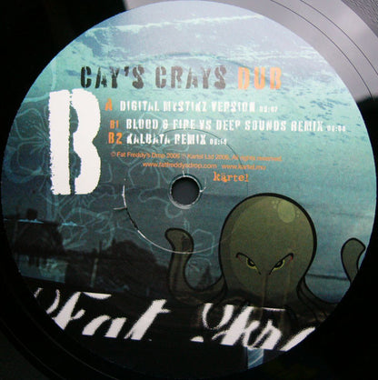 Fat Freddy's Drop : Dub Versions (12")
