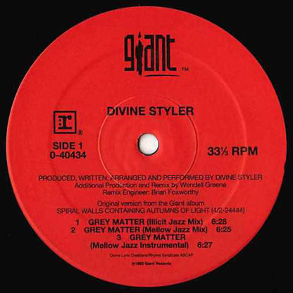 Divine Styler : Grey Matter (12", Maxi)