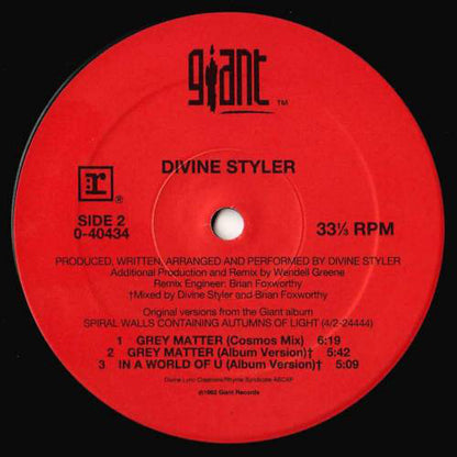 Divine Styler : Grey Matter (12", Maxi)