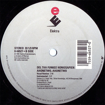 Del Tha Funkee Homosapien : Sleepin' On My Couch / Ahonetwo, Ahonetwo (12", Single)