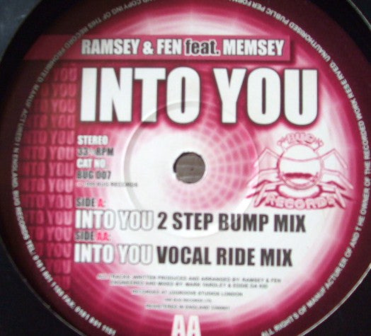 Ramsey & Fen Feat. Memsey* : Into You (12")