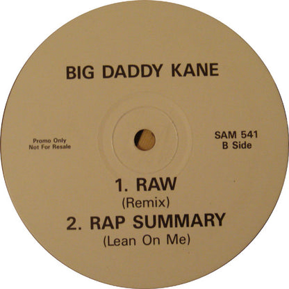 Big Daddy Kane : Wrath Of Kane (12", Promo)