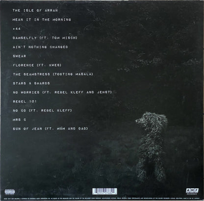 Loyle Carner : Yesterday's Gone (LP, Album)