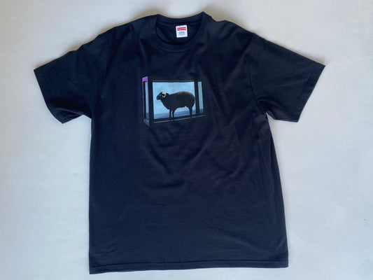Supreme x Damien Hirst T-Shirt Black